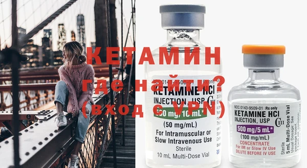 индика Новозыбков