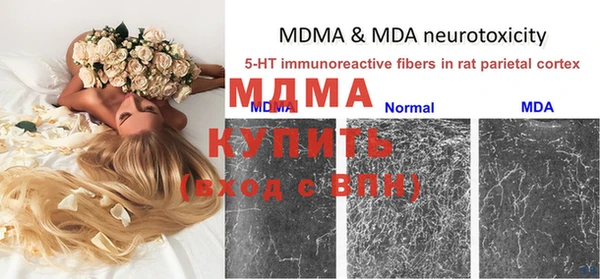 индика Новозыбков